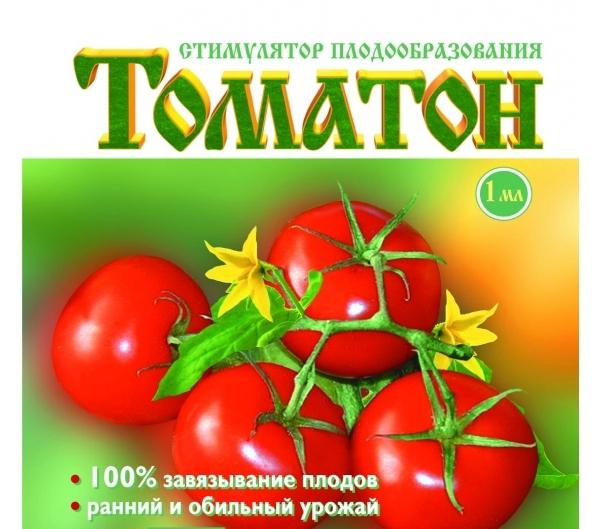 รีวิว Tomato