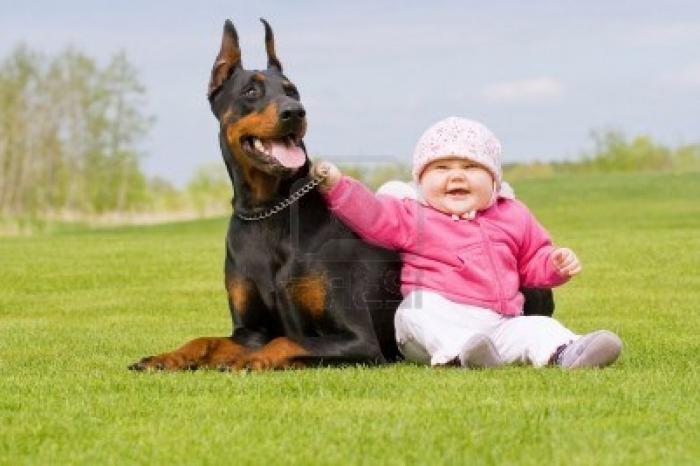 สุนัขที่ใหญ่ที่สุดคือเพื่อนที่น่าเชื่อถือ
