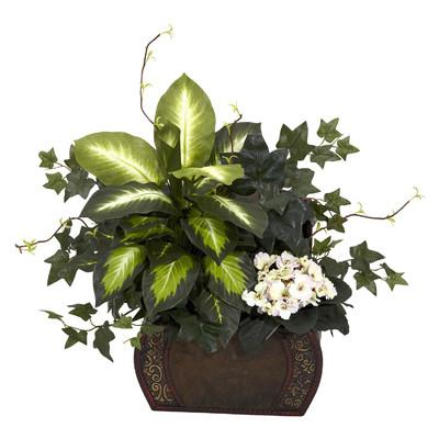 Dieffenbachia: เป็นไปได้ไหมที่จะเก็บโรงงานมหัศจรรย์แห่งนี้ไว้ที่บ้าน?