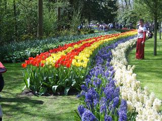 วิธีการเลือกดอกไม้ที่มีสีสันสวยงามที่สุดสำหรับสวนของคุณ?