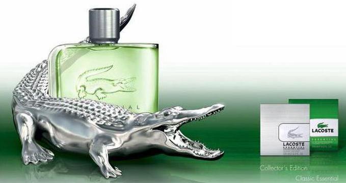  lacoste ราคาที่จำเป็น