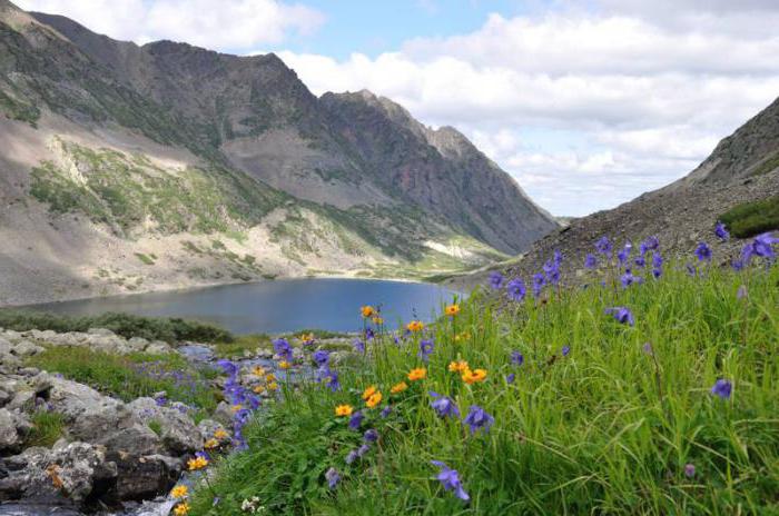 เขตอนุรักษ์ธรรมชาติ Baikal-Lena State: ข้อเท็จจริงที่น่าสนใจ, รูปถ่าย พืชและสัตว์ของสำรอง Baikal-Lensky