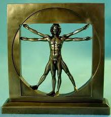 Vitruvian Man Leonardo Da Vinci