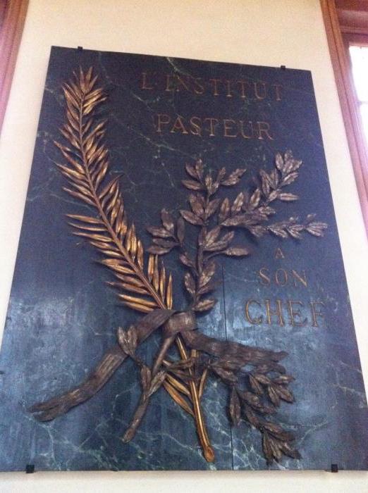 ประวัติและความสำเร็จของ Louis Pasteur