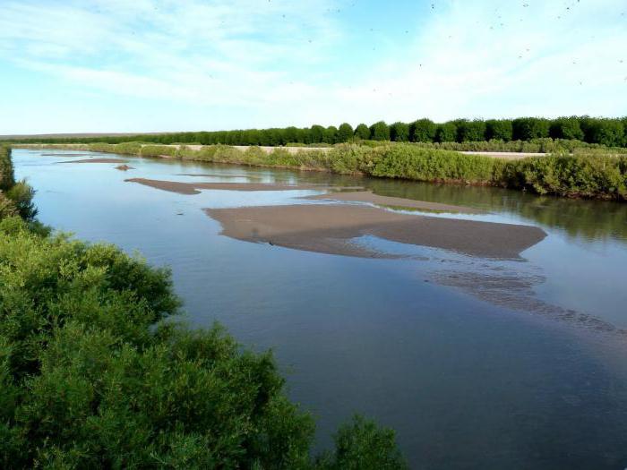 Rio Grande - แม่น้ำในอเมริกาเหนือ: คำอธิบายคุณลักษณะรูปภาพภาพถ่าย