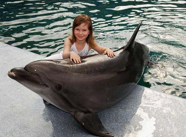 Dolphinarium ลดลงเวลาการทำงาน Novgorod