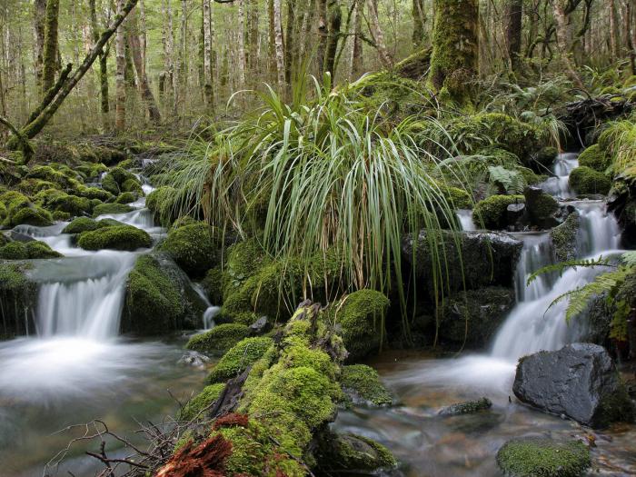 สถานที่ท่องเที่ยวของประเทศนิวซีแลนด์ ถ้ำ Waitomo, Hobbiton (ภาพ)