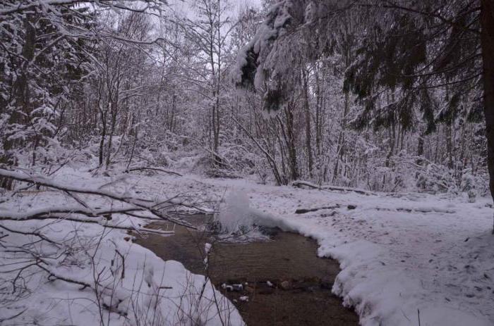 Gatchina น้ำพุร้อนวิธีการเข้าถึงโดยรถยนต์ 