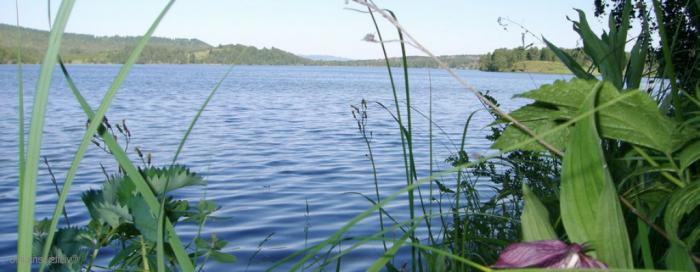 ศูนย์นันทนาการบน Lake Linevo