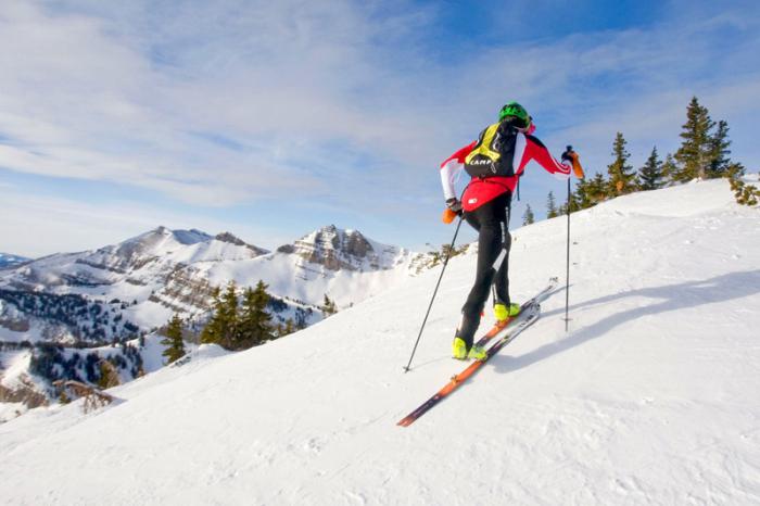 สกีคลาสสิก การจำแนกประเภทวิธีการเคลื่อนไหวบนสกี