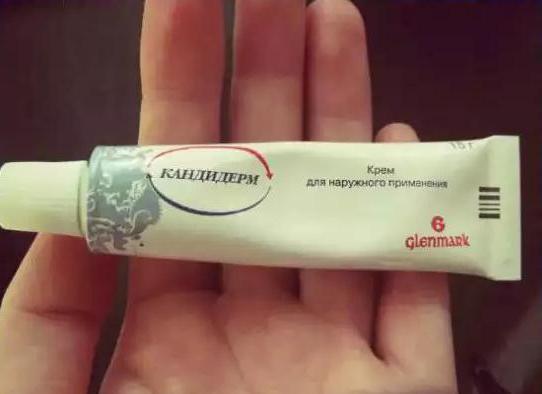 "Candiderm" (ครีม): ราคาคำแนะนำสำหรับการใช้งานความเห็น