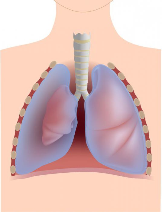 รายละเอียดของ pneumothorax: ชนิดของโรคสาเหตุการวินิจฉัยและการรักษา